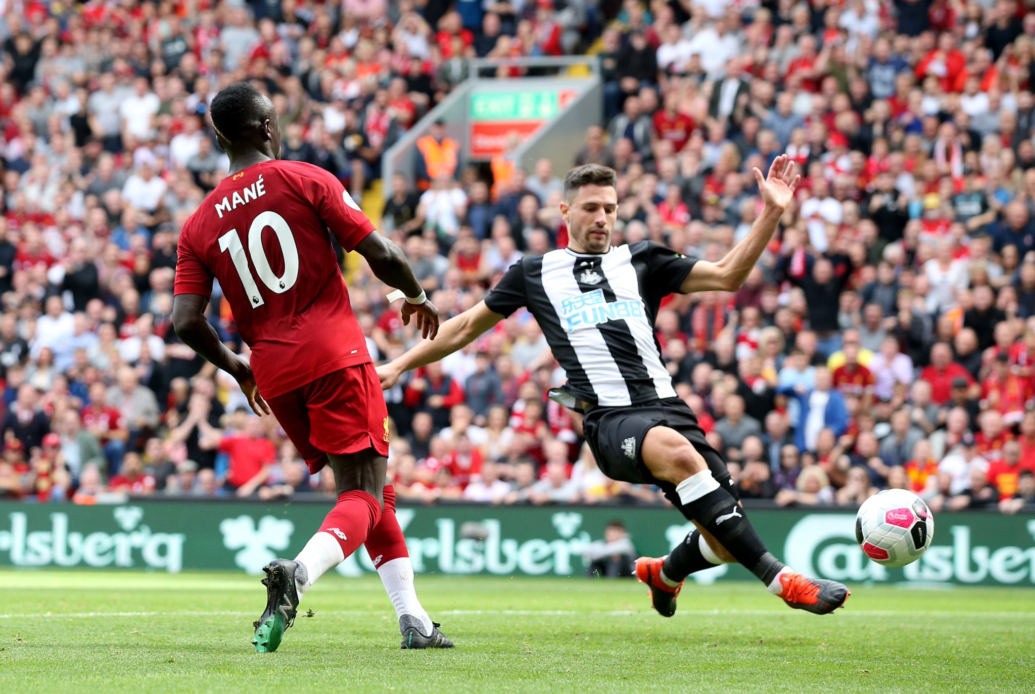 雄鹿的未来 雄鹿的未来